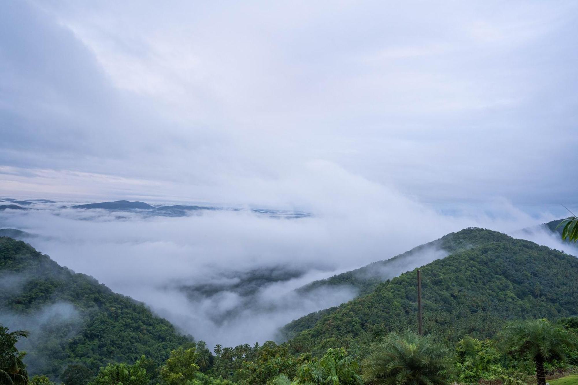 Mount Stratus Resort Vayalada Balussery 외부 사진